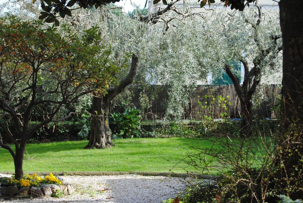 Bed and Breakfast Casa Simonetti à Torre del Lago Puccini Extérieur photo